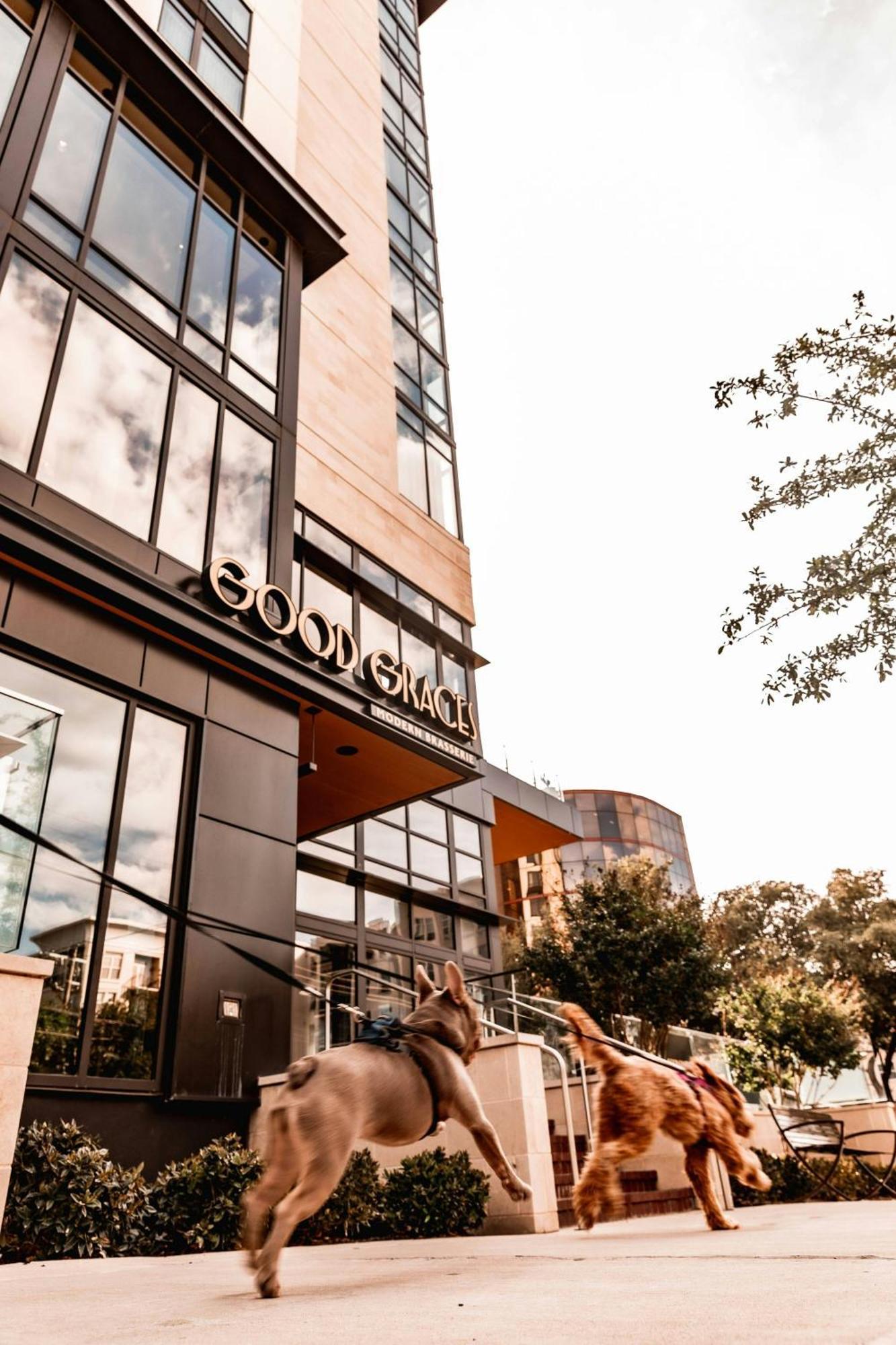 Marriott Dallas Uptown Екстериор снимка